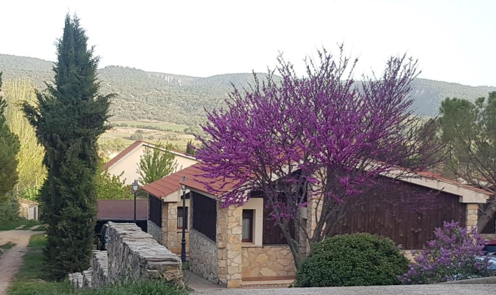 Aventura & Relax Cabanas Pena La Higuera Villalba de la Sierra Exterior foto
